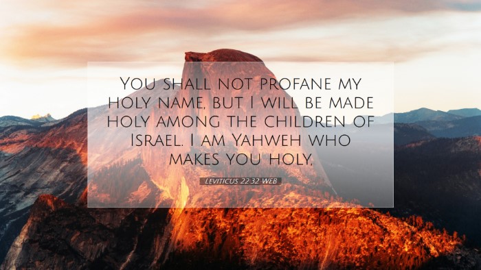Picture 07 - Leviticus 22:32 WEB Desktop Wallpaper - You shall not profane my holy name, but I will be - Desktop Bible Verse Wallpaper