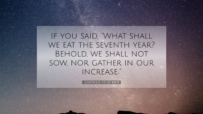 Picture 07 - Leviticus 25:20 WEB Desktop Wallpaper - If you said, 
