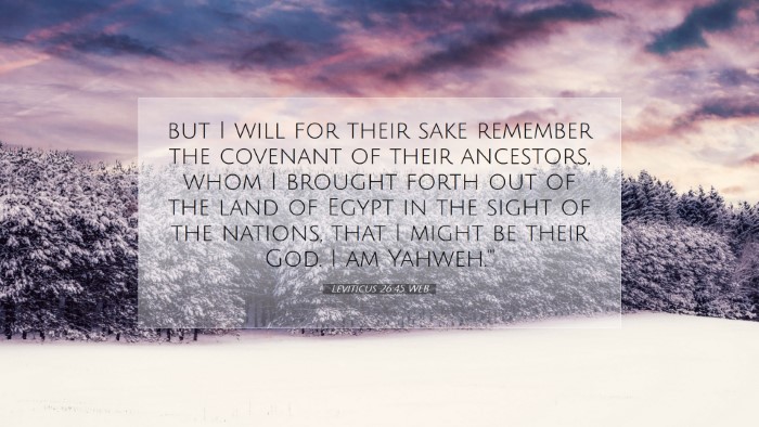 Picture 07 - Leviticus 26:45 WEB Desktop Wallpaper - but I will for their sake remember the covenant - Desktop Bible Verse Wallpaper