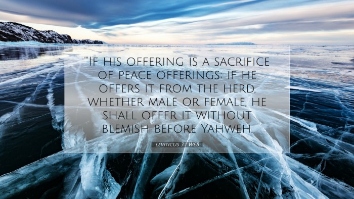 Picture 07 - Leviticus 3:1 WEB Desktop Wallpaper - 