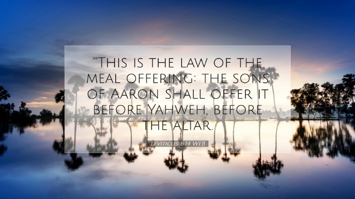 Picture 07 - Leviticus 6:14 WEB Desktop Wallpaper - 