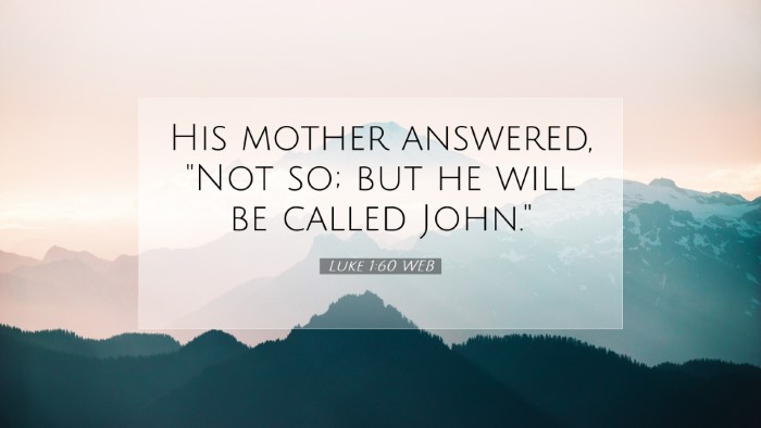 Picture 07 - Luke 1:60 WEB Desktop Wallpaper - His mother answered, 