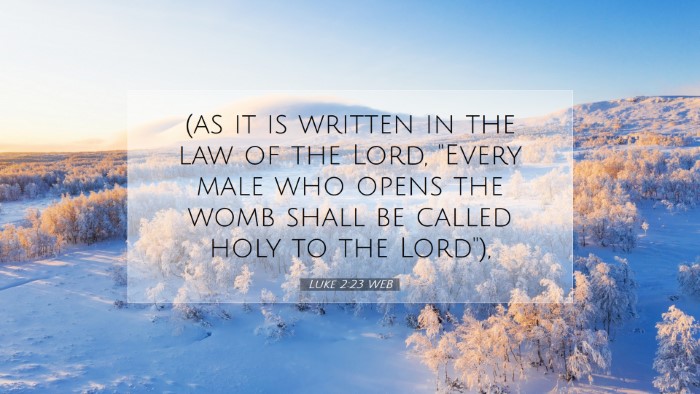 Picture 07 - Luke 2:23 WEB Desktop Wallpaper - (as it is written in the law of the Lord, 