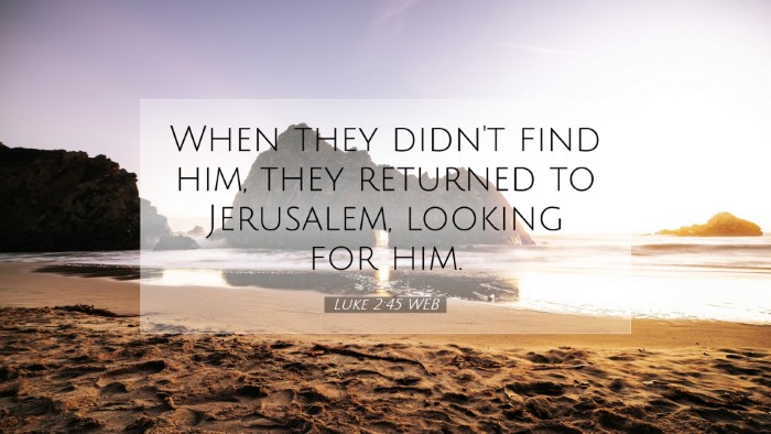 Picture 07 - Luke 2:45 WEB Desktop Wallpaper - When they didn't find him, they returned to - Desktop Bible Verse Wallpaper