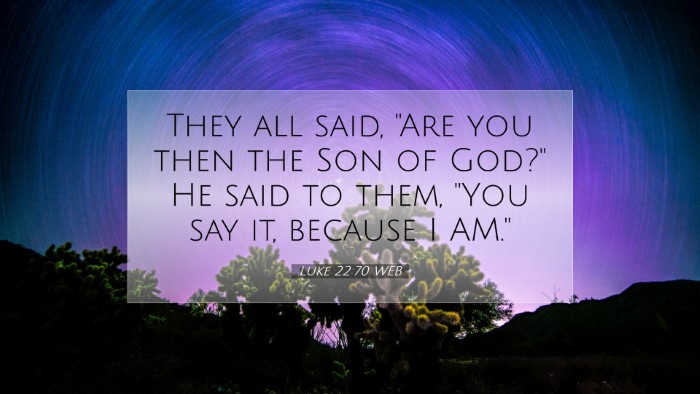 Picture 07 - Luke 22:70 WEB Desktop Wallpaper - They all said, 