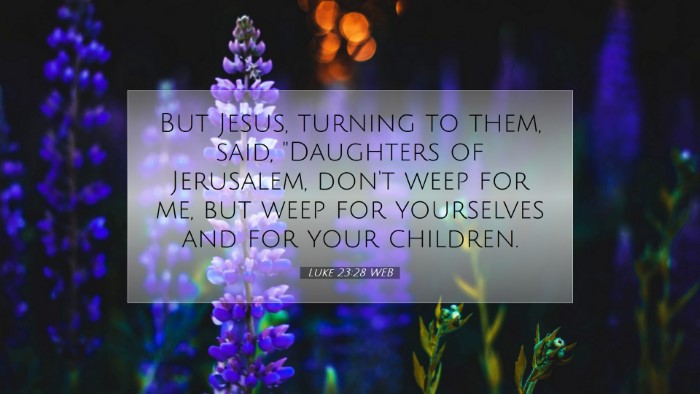 Picture 07 - Luke 23:28 WEB Desktop Wallpaper - But Jesus, turning to them, said, 