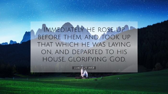 Picture 07 - Luke 5:25 WEB Desktop Wallpaper - Immediately he rose up before them, and took up - Desktop Bible Verse Wallpaper