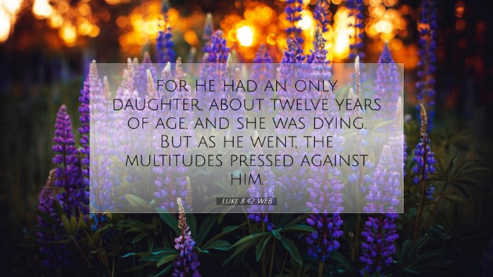 Picture 07 - Luke 8:42 WEB Desktop Wallpaper - for he had an only daughter, about twelve years - Desktop Bible Verse Wallpaper