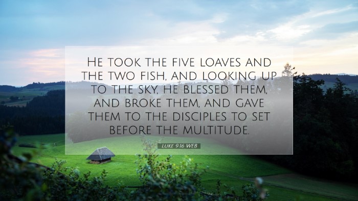 Picture 07 - Luke 9:16 WEB Desktop Wallpaper - He took the five loaves and the two fish, and - Desktop Bible Verse Wallpaper