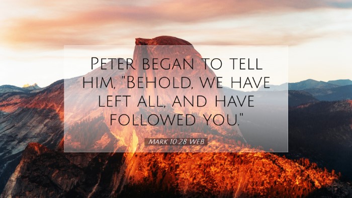 Picture 07 - Mark 10:28 WEB Desktop Wallpaper - Peter began to tell him, 
