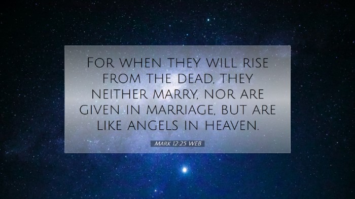 Picture 07 - Mark 12:25 WEB Desktop Wallpaper - For when they will rise from the dead, they - Desktop Bible Verse Wallpaper