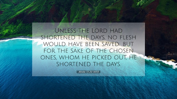 Picture 07 - Mark 13:20 WEB Desktop Wallpaper - Unless the Lord had shortened the days, no flesh - Desktop Bible Verse Wallpaper