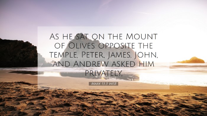 Picture 07 - Mark 13:3 WEB Desktop Wallpaper - As he sat on the Mount of Olives opposite the - Desktop Bible Verse Wallpaper