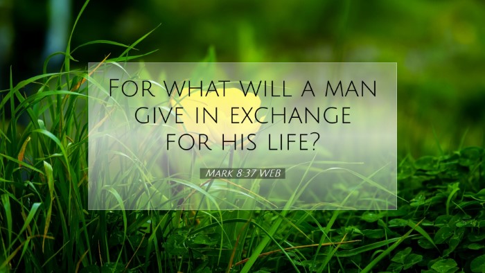 Picture 07 - Mark 8:37 WEB Desktop Wallpaper - For what will a man give in exchange for his - Desktop Bible Verse Wallpaper