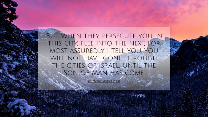 Picture 07 - Matthew 10:23 WEB Desktop Wallpaper - But when they persecute you in this city, flee - Desktop Bible Verse Wallpaper