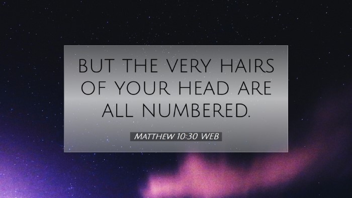 Picture 07 - Matthew 10:30 WEB Desktop Wallpaper - but the very hairs of your head are all - Desktop Bible Verse Wallpaper