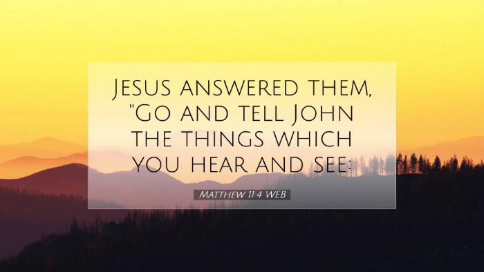 Picture 07 - Matthew 11:4 WEB Desktop Wallpaper - Jesus answered them, 