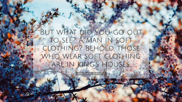Picture 07 - Matthew 11:8 WEB Desktop Wallpaper - But what did you go out to see? A man in soft - Desktop Bible Verse Wallpaper