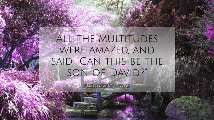 Picture 07 - Matthew 12:23 WEB Desktop Wallpaper - All the multitudes were amazed, and said, 