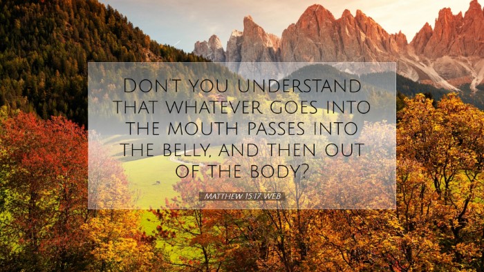 Picture 07 - Matthew 15:17 WEB Desktop Wallpaper - Don't you understand that whatever goes into the - Desktop Bible Verse Wallpaper