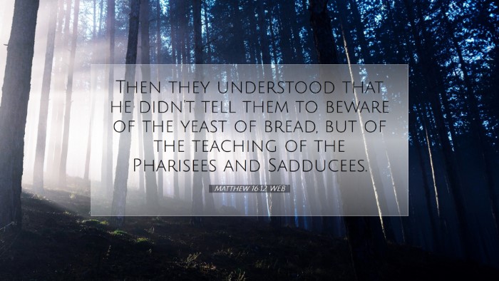Picture 07 - Matthew 16:12 WEB Desktop Wallpaper - Then they understood that he didn't tell them to - Desktop Bible Verse Wallpaper