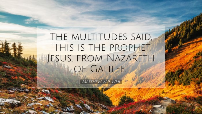 Picture 07 - Matthew 21:11 WEB Desktop Wallpaper - The multitudes said, 