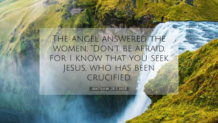 Picture 07 - Matthew 28:5 WEB Desktop Wallpaper - The angel answered the women, 