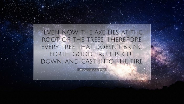 Picture 07 - Matthew 3:10 WEB Desktop Wallpaper - 