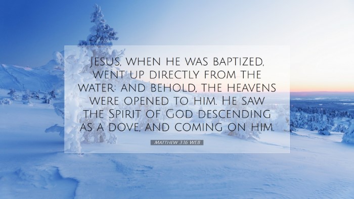 Picture 07 - Matthew 3:16 WEB Desktop Wallpaper - Jesus, when he was baptized, went up directly - Desktop Bible Verse Wallpaper