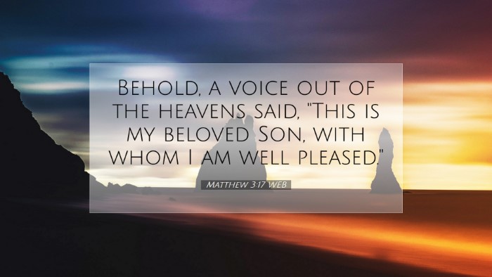 Picture 07 - Matthew 3:17 WEB Desktop Wallpaper - Behold, a voice out of the heavens said, 