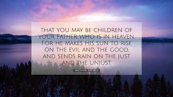 Picture 07 - Matthew 5:45 WEB Desktop Wallpaper - that you may be children of your Father who is in - Desktop Bible Verse Wallpaper