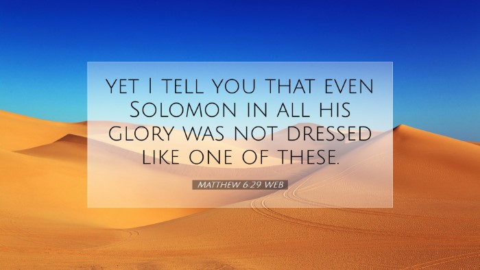 Picture 07 - Matthew 6:29 WEB Desktop Wallpaper - yet I tell you that even Solomon in all his glory - Desktop Bible Verse Wallpaper