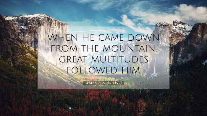 Picture 07 - Matthew 8:1 WEB Desktop Wallpaper - When he came down from the mountain, great - Desktop Bible Verse Wallpaper