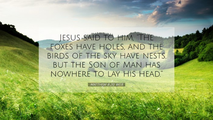 Picture 07 - Matthew 8:20 WEB Desktop Wallpaper - Jesus said to him, 