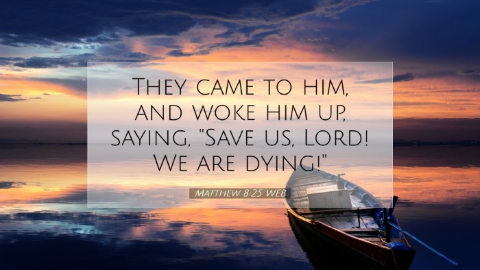 Picture 07 - Matthew 8:25 WEB Desktop Wallpaper - They came to him, and woke him up, saying, 