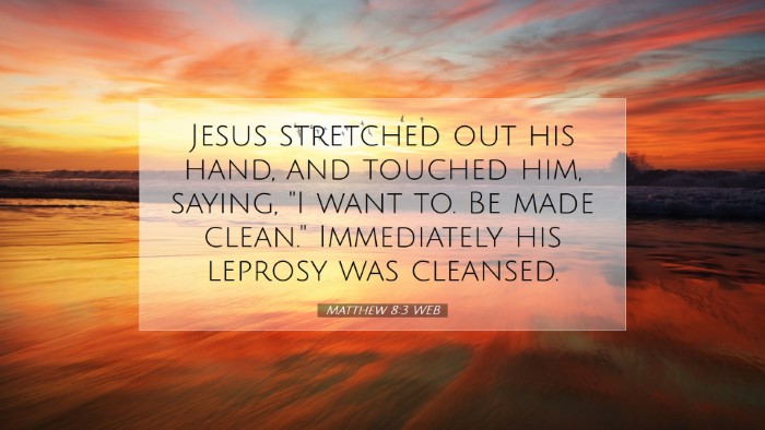 Picture 07 - Matthew 8:3 WEB Desktop Wallpaper - Jesus stretched out his hand, and touched him, - Desktop Bible Verse Wallpaper