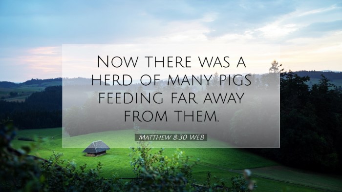 Picture 07 - Matthew 8:30 WEB Desktop Wallpaper - Now there was a herd of many pigs feeding far - Desktop Bible Verse Wallpaper