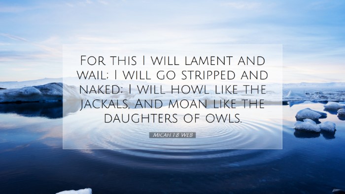 Picture 07 - Micah 1:8 WEB Desktop Wallpaper - For this I will lament and wail; I will go - Desktop Bible Verse Wallpaper
