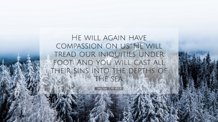 Picture 07 - Micah 7:19 WEB Desktop Wallpaper - He will again have compassion on us. He will - Desktop Bible Verse Wallpaper