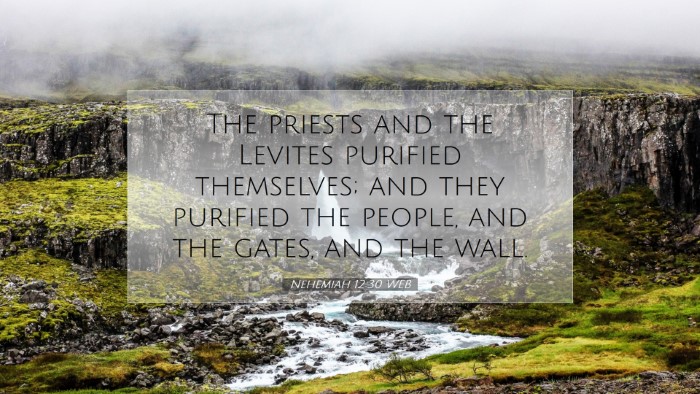Picture 07 - Nehemiah 12:30 WEB Desktop Wallpaper - The priests and the Levites purified themselves; - Desktop Bible Verse Wallpaper