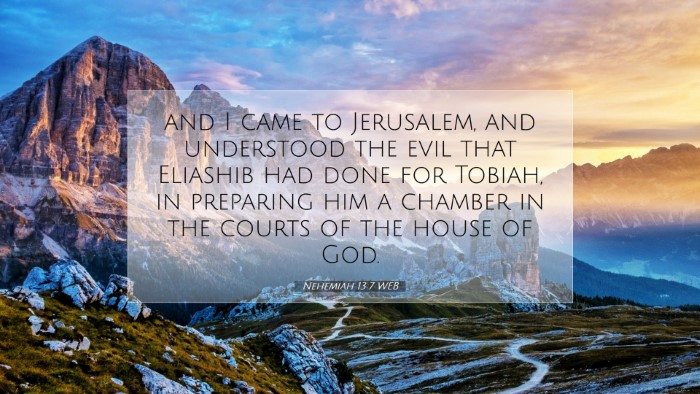 Picture 07 - Nehemiah 13:7 WEB Desktop Wallpaper - and I came to Jerusalem, and understood the evil - Desktop Bible Verse Wallpaper