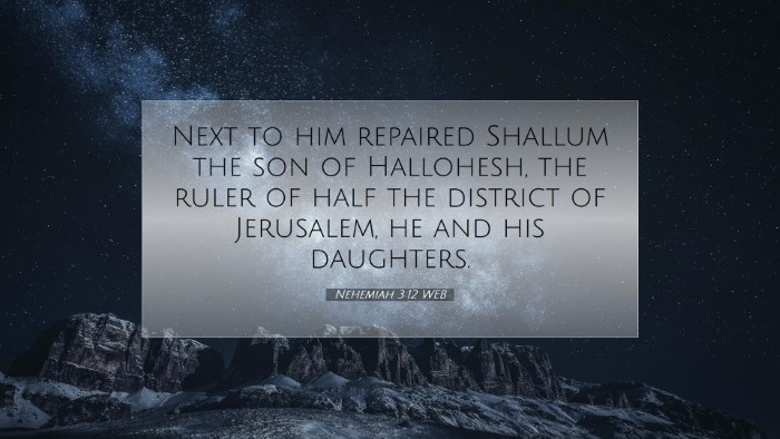 Picture 07 - Nehemiah 3:12 WEB Desktop Wallpaper - Next to him repaired Shallum the son of - Desktop Bible Verse Wallpaper