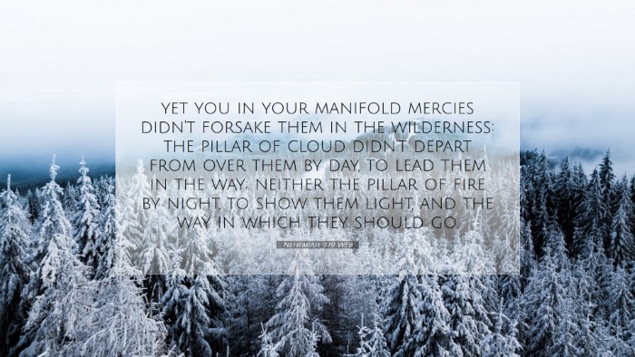 Picture 07 - Nehemiah 9:19 WEB Desktop Wallpaper - yet you in your manifold mercies didn't forsake - Desktop Bible Verse Wallpaper