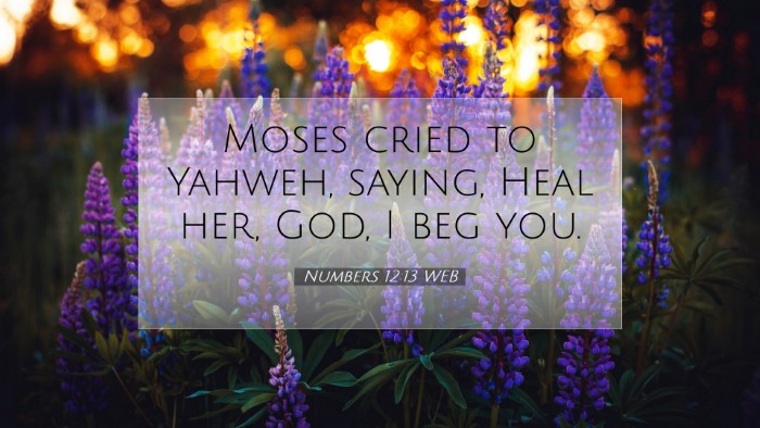 Picture 07 - Numbers 12:13 WEB Desktop Wallpaper - Moses cried to Yahweh, saying, Heal her, God, I - Desktop Bible Verse Wallpaper