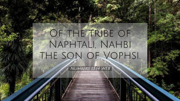 Picture 07 - Numbers 13:14 WEB Desktop Wallpaper - Of the tribe of Naphtali, Nahbi the son of - Desktop Bible Verse Wallpaper