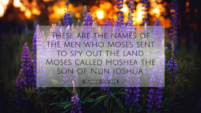 Picture 07 - Numbers 13:16 WEB Desktop Wallpaper - These are the names of the men who Moses sent to - Desktop Bible Verse Wallpaper