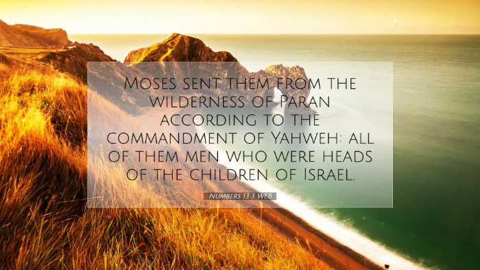 Picture 07 - Numbers 13:3 WEB Desktop Wallpaper - Moses sent them from the wilderness of Paran - Desktop Bible Verse Wallpaper