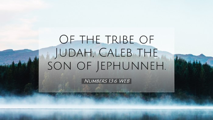 Picture 07 - Numbers 13:6 WEB Desktop Wallpaper - Of the tribe of Judah, Caleb the son of - Desktop Bible Verse Wallpaper