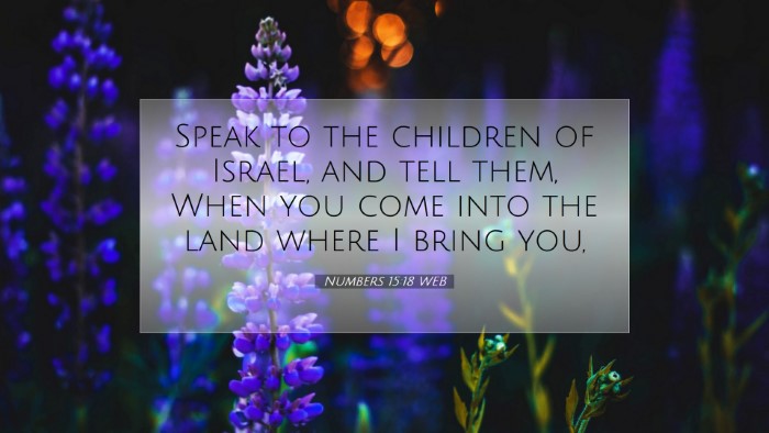 Picture 07 - Numbers 15:18 WEB Desktop Wallpaper - Speak to the children of Israel, and tell them, - Desktop Bible Verse Wallpaper