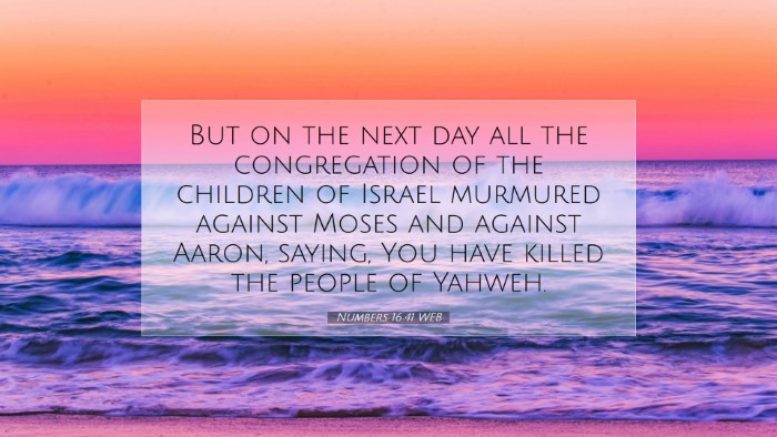 Picture 07 - Numbers 16:41 WEB Desktop Wallpaper - But on the next day all the congregation of the - Desktop Bible Verse Wallpaper